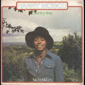Country Boy - Mr. Funkees album cover