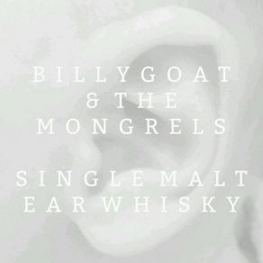 Single Malt Ear Whisky album cover