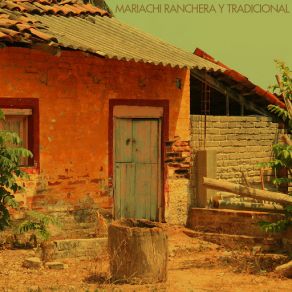 Mariachi Ranchera Y Tradicional album cover