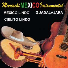 Instrumental album cover