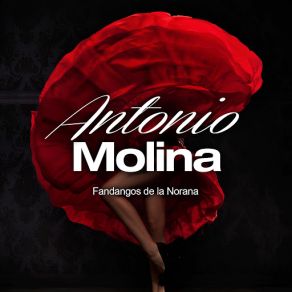 Fandangos De La Norana album cover