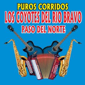 Puros Corridos album cover
