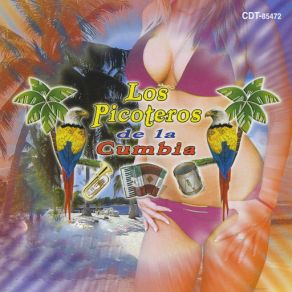Los Picoteros De La Cumbia album cover