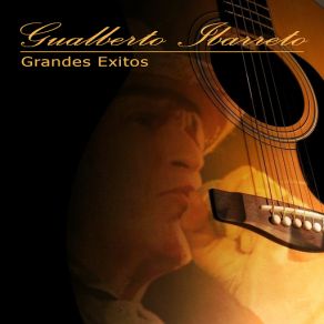Grandes Exitos (CD1) album cover