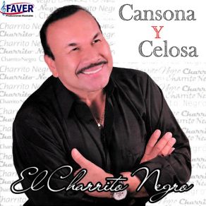 Cansona Y Celosa (Single) album cover