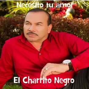 Necesito Tu Amor (Single) album cover