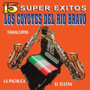 15 Super Éxitos album cover