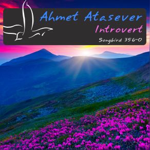 Introvert (Single) album cover