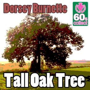 Tall Oak Tree album cover
