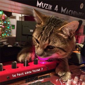 The Pirate Album Volume 7 (New Year's Eve 2016) album cover