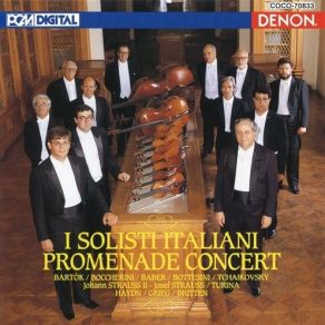 Promenade Concert - I Solisti Italiani album cover