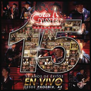 15 Años De Exitos En Vivo Desde Phoenix AZ album cover