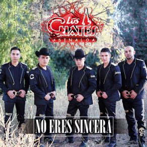 No Eres Sincera (Single) album cover