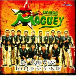 Pa Que Veas Lo Que Se Siente album cover