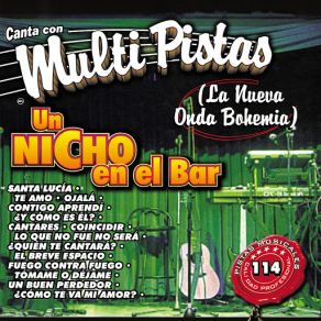Canta Multi Pistas Un Nicho En El Bar album cover