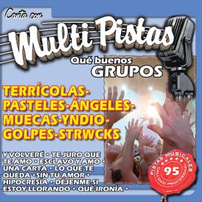 Canta Con Multi Pistas Que Buenos Grupos Terricolas-Pasteles-Angeles Negros-Muecas-Yndio-Golpes-Strwcks album cover