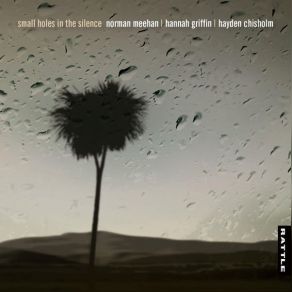 Small Holes In The Silence album cover
