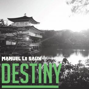 Destiny album cover