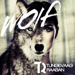 Wolf (Single) album cover