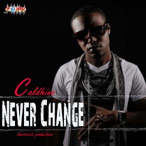 Never Change (Single) album cover