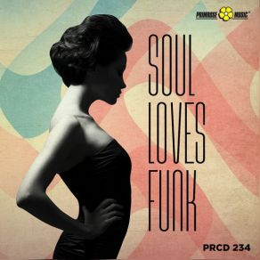 Soul Loves Funk album cover
