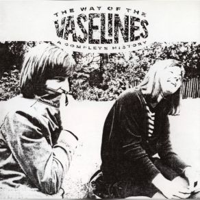 The Way Of The Vaselines: A Complete History album cover