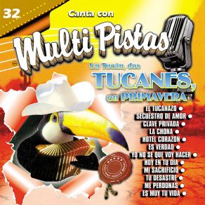Canta Con Multi Pistas Un Tucan, Dos Tucanes, En Primavera album cover