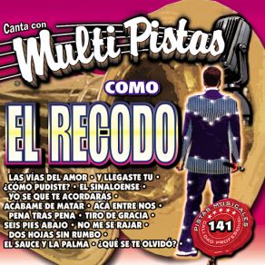 Canta Con Multi Pistas Como El Recodo album cover