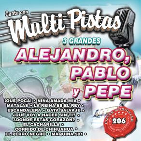 Canta Con Multi Pistas 3 Grandes Alejandro, Pablo Pepe album cover