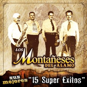 Sus Mejores - 15 Super Exitos album cover