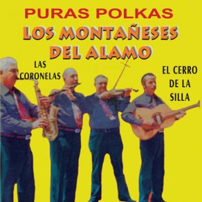 Puras Polkas album cover