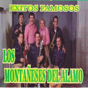 Exitos Famosos album cover