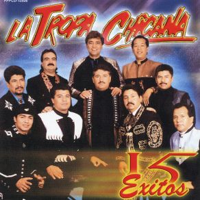 15 Exitos album cover