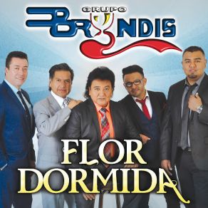 Flor Dormida (Single) album cover