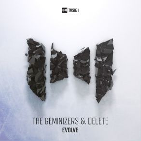 Evolve (Maxi-Single) album cover