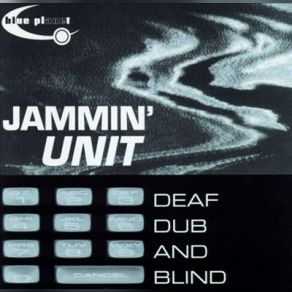 Deaf Dub And Blind album cover