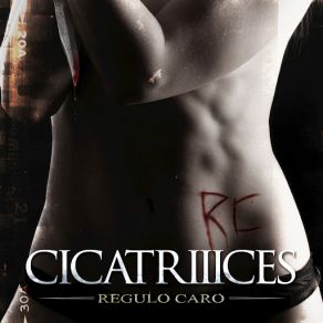 CicatrIIIces (Single) album cover