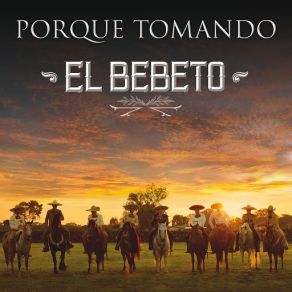 Porque Tomando (Versión Mariachi) (Single) album cover