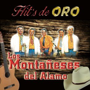Hit's De Oro album cover