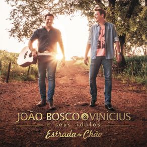 João Bosco & Vinicius E Seus Ídolos - Estrada De Chão album cover
