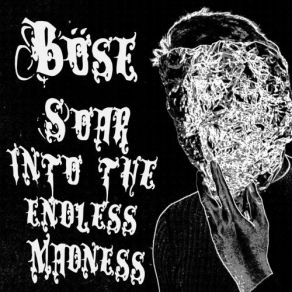 Soar Into The Endless Madness album cover