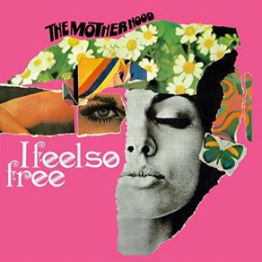 I Feel So Free album cover