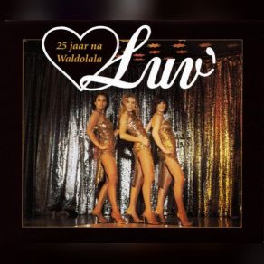 25 Jaar Na Waldolala (CD2) album cover