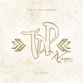 Turma Do Pagode XV Anos (Ao Vivo) album cover