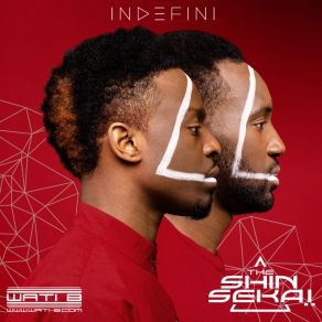 Indéfini album cover