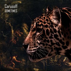 Sometimes album cover