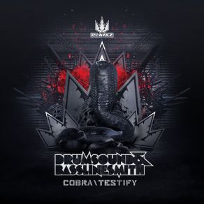 Cobra Testify (Maxi-Single) album cover