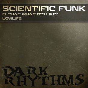 Lowlife (Maxi-Single) album cover