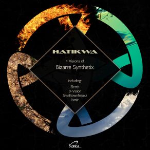 4 Visions Of Bizarre Synthetix album cover