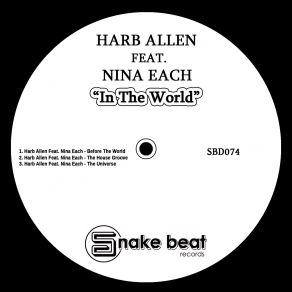 In The World (Maxi-Single) album cover